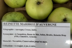 Reinette marbrée d\'Auvergne - Armoise