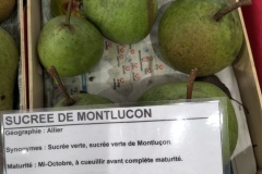 Poire Sucrée de Montluçon